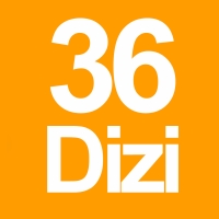 NAZARONE,DİSKET TOPLU İĞNE SİYAH (VİVA BAŞLI İĞNE) 36DİZİ