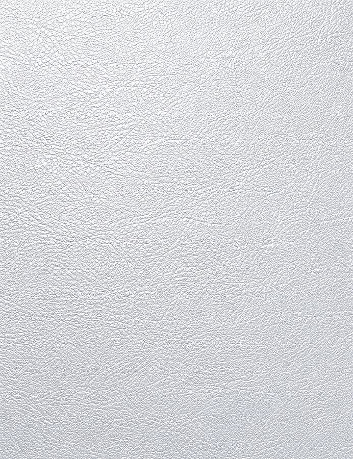 GORA,120 CM DERİ AYARLANABİLİR SAP GÜMÜŞ - GORA (1)