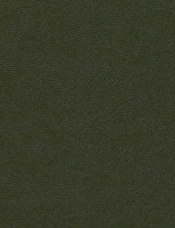 GORA,120 CM DERİ AYARLANABİLİR SAP HAKİ - GORA (1)