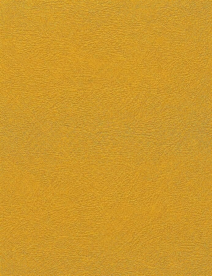 GORA,120 CM DERİ AYARLANABİLİR SAP SARI - GORA (1)