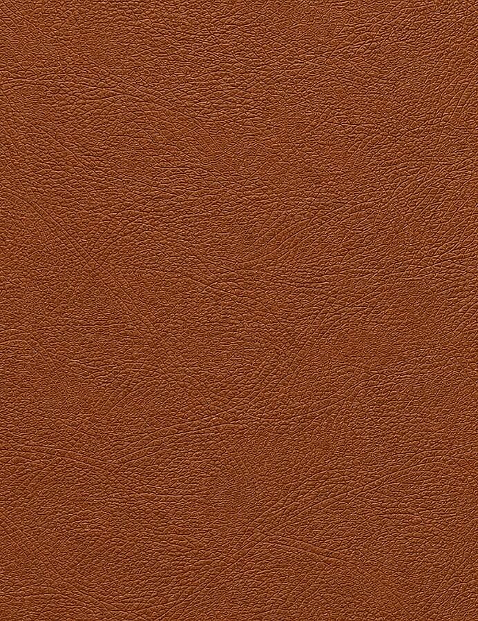 GORA,120 CM DERİ AYARLANABİLİR SAP TABA - GORA (1)