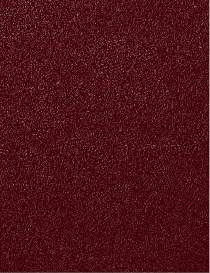GORA,DERİ ÇANTA TABANI 12X25CM BORDO - GORA (1)