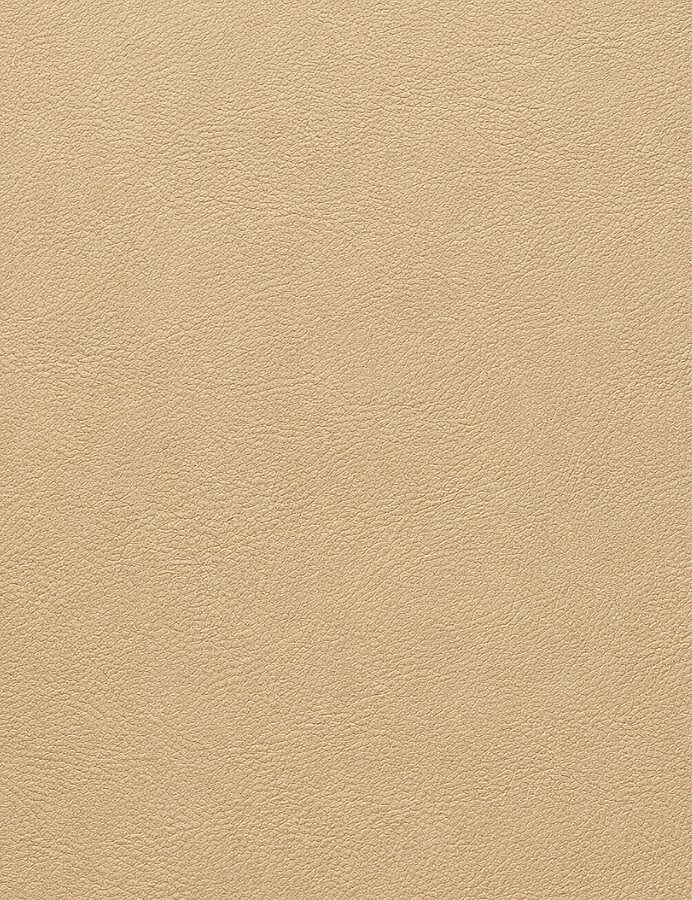 GORA,DERİ FERMUARLI ÇANTA KAPAĞI İNCE 5,5X30CM BEJ - GORA (1)