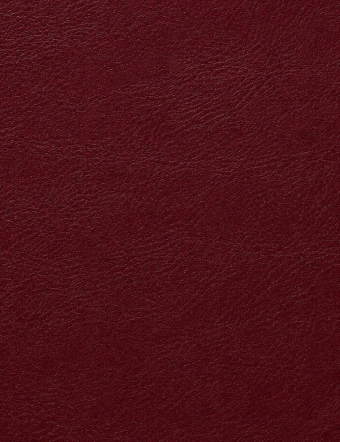 GORA,DERİ FERMUARLI ÇANTA KAPAĞI İNCE 5,5X30CM BORDO - GORA (1)