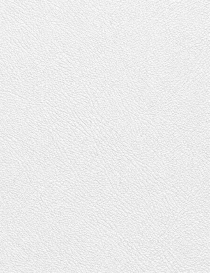 GORA,DERİ FERMUARLI ÇANTA KAPAĞI İNCE 5,5X30CM GÜMÜŞ - GORA (1)